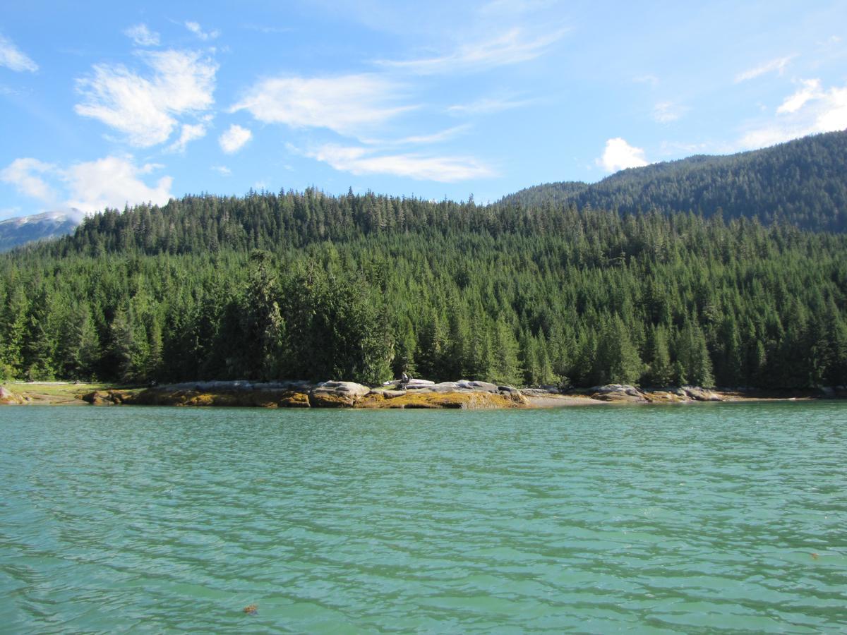 Stewart Mountain Lodge Экстерьер фото